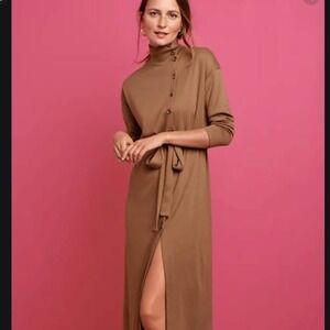 ANN TAYLOR long sleeve belted brown midi dress  women XL Petite